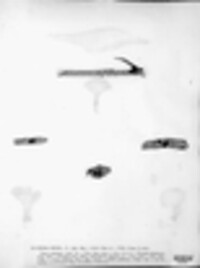 Exidia recisa image